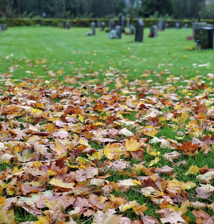 blad, gravstøtter, kirkegård - Klikk for stort bilde