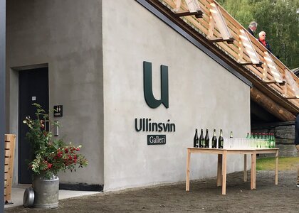 Galleri Ullinsvin - bygningen - Klikk for stort bilde