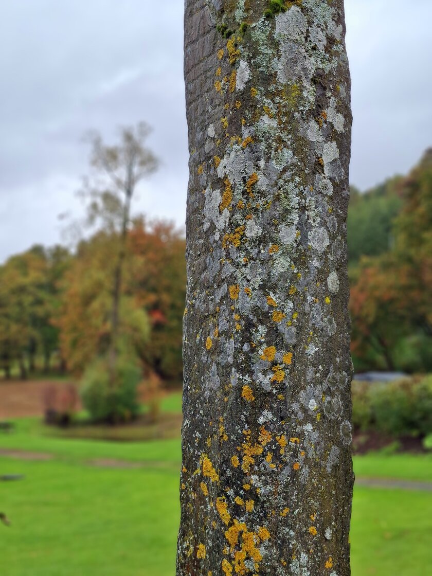 Runestein - Klikk for stort bilde